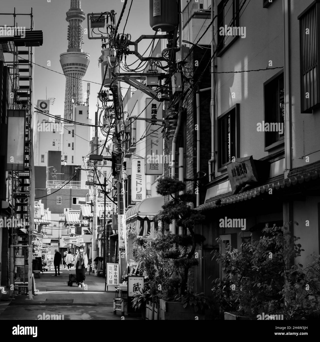 Una vista lungo una strada nell'area di Asakusa con lo Skytree sullo sfondo a Tokyo, Giappone. Foto Stock