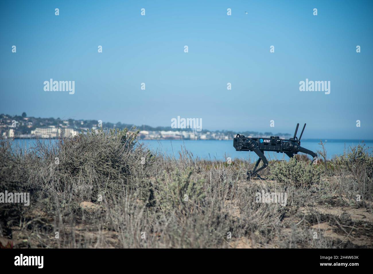 MONTEREY, California (novembre 3, 2021) il cane robotico “Fido-G” DI AT&T opera nella struttura Sea Land Air Military Research (SLAMR) presso la Naval Postgraduate School (NPS) durante il suo evento Joint Interagency Field Experimentation (JIFX) 22-1, 3 novembre 2021. Il programma NPS JIFX, che tiene eventi di sperimentazione trimestrali, esiste per fornire interazioni collaborative tra docenti NPS, studenti, industria della difesa e università per valutare le applicazioni di difesa delle tecnologie emergenti in un ambiente operativo sul campo. JIFX consente a ingegneri e imprenditori di diventare più istruiti riguardo a Depar Foto Stock