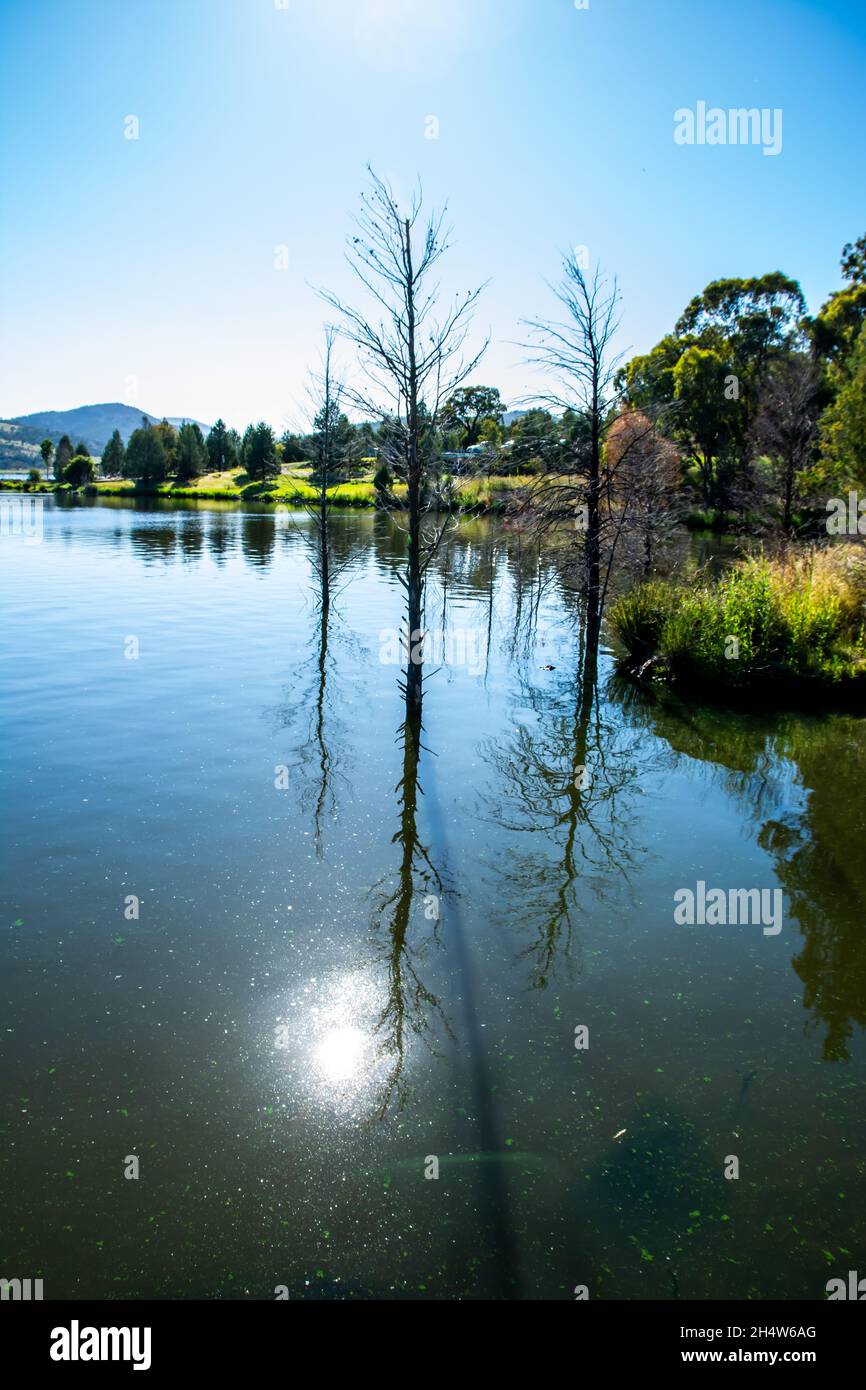 Sole che riflette sulle acque calme di Quipolly Dam NSW Australia. Foto Stock