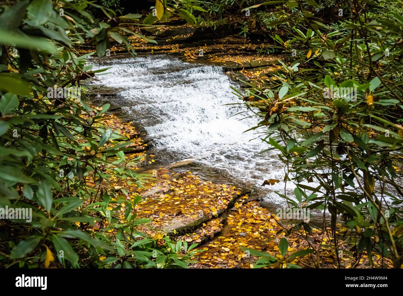Cascate d'acqua tra le foglie d'oro autunno su Falls Creek sotto le cascate Minnehaha Falls vicino al lago Rabun a Lakemont, Georgia. (USA) Foto Stock