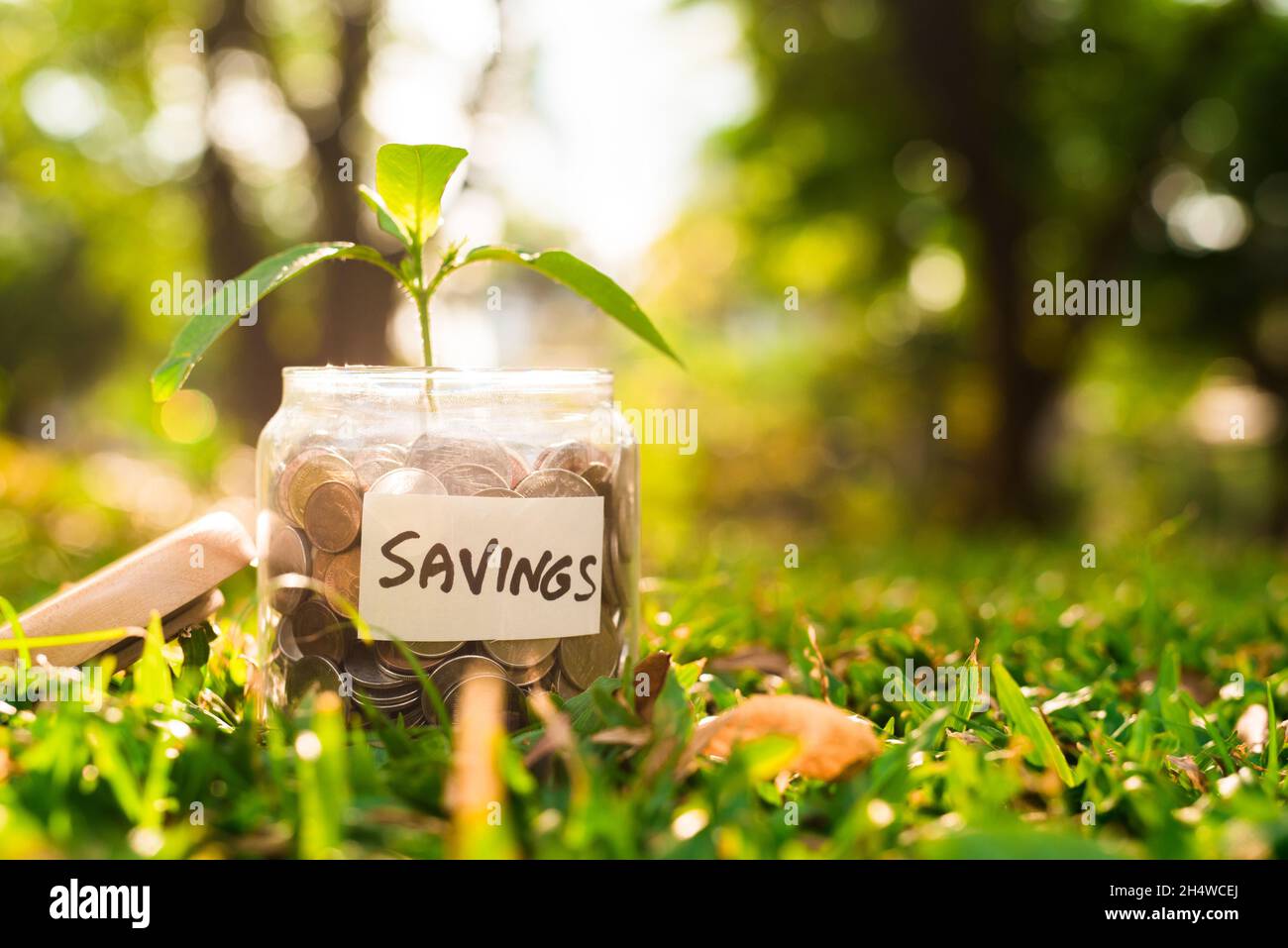 Monete in vaso. Concetto di risparmio di denaro. Foto Stock