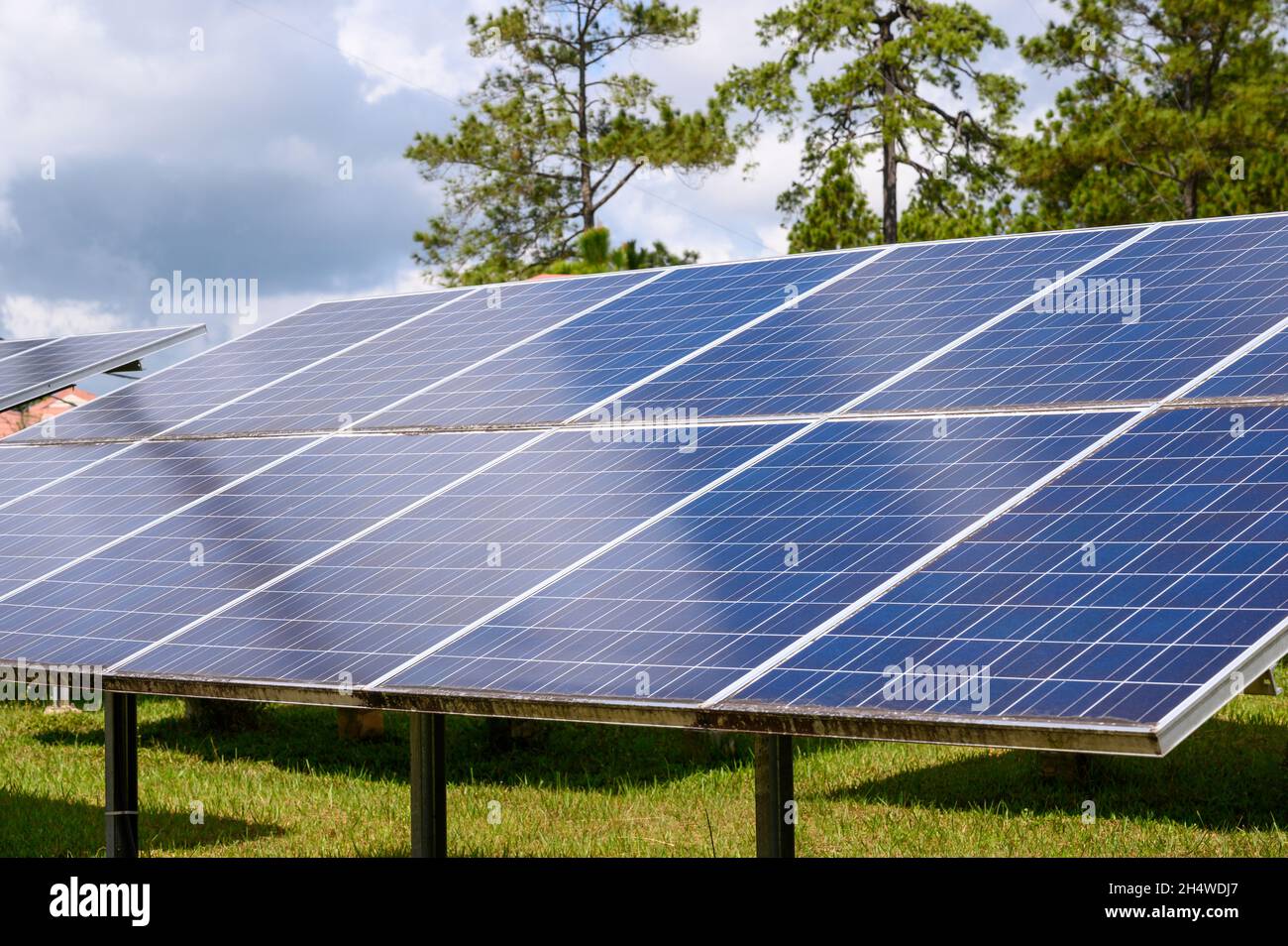 Celle solari speciali che devono trasformare l'energia dalla luce solare in energia elettrica energia pulita e rispettosa dell'ambiente Foto Stock