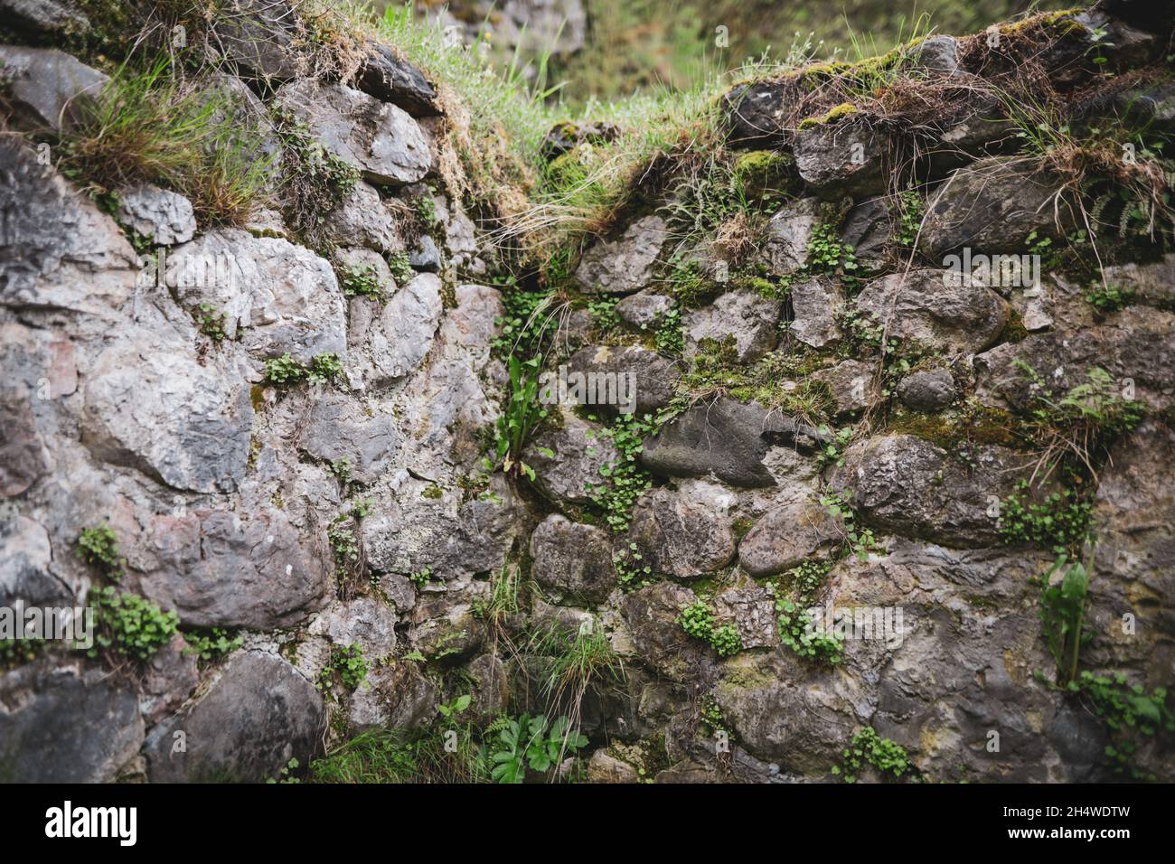 Dettagli di un muro di pietra medievale all'interno del Castello di Bran, noto anche come Castello di Dracula in Transilvania, Romania. Foto Stock