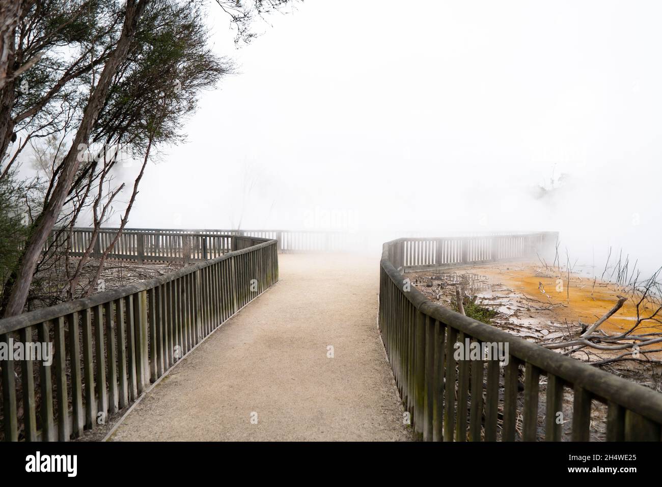 Lago geotermico a Kuirau Park, Rotorua, Nuova Zelanda Foto Stock