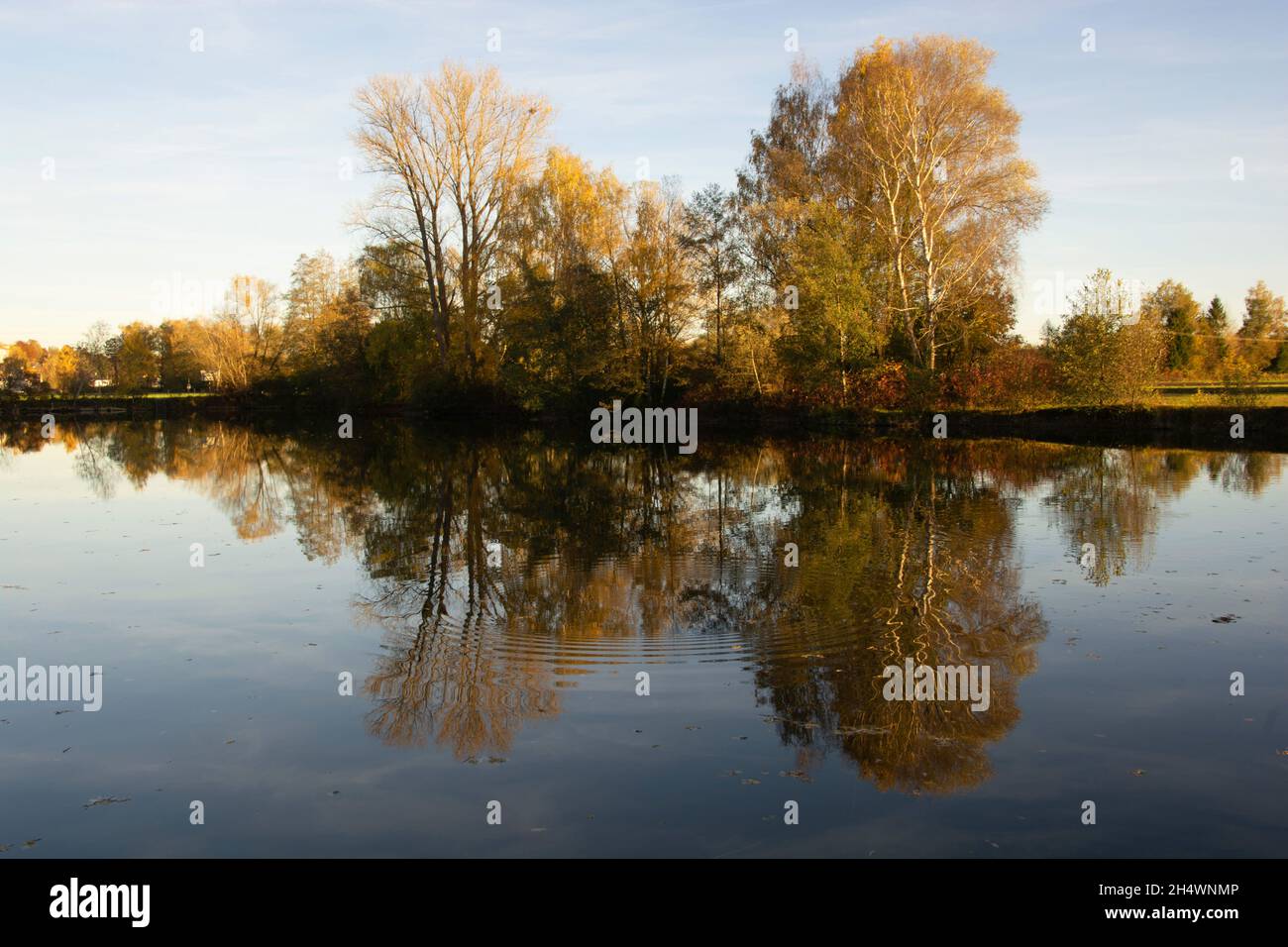 paesaggio autunnale con lago e alberi e cielo e riflessi luminosi Foto Stock