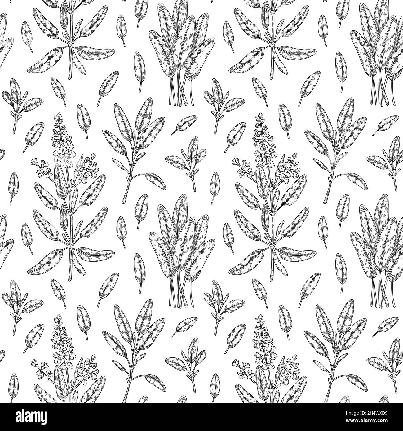 Modello senza cuciture salvia disegnato a mano. Illustrazione vettoriale in stile di schizzo Illustrazione Vettoriale