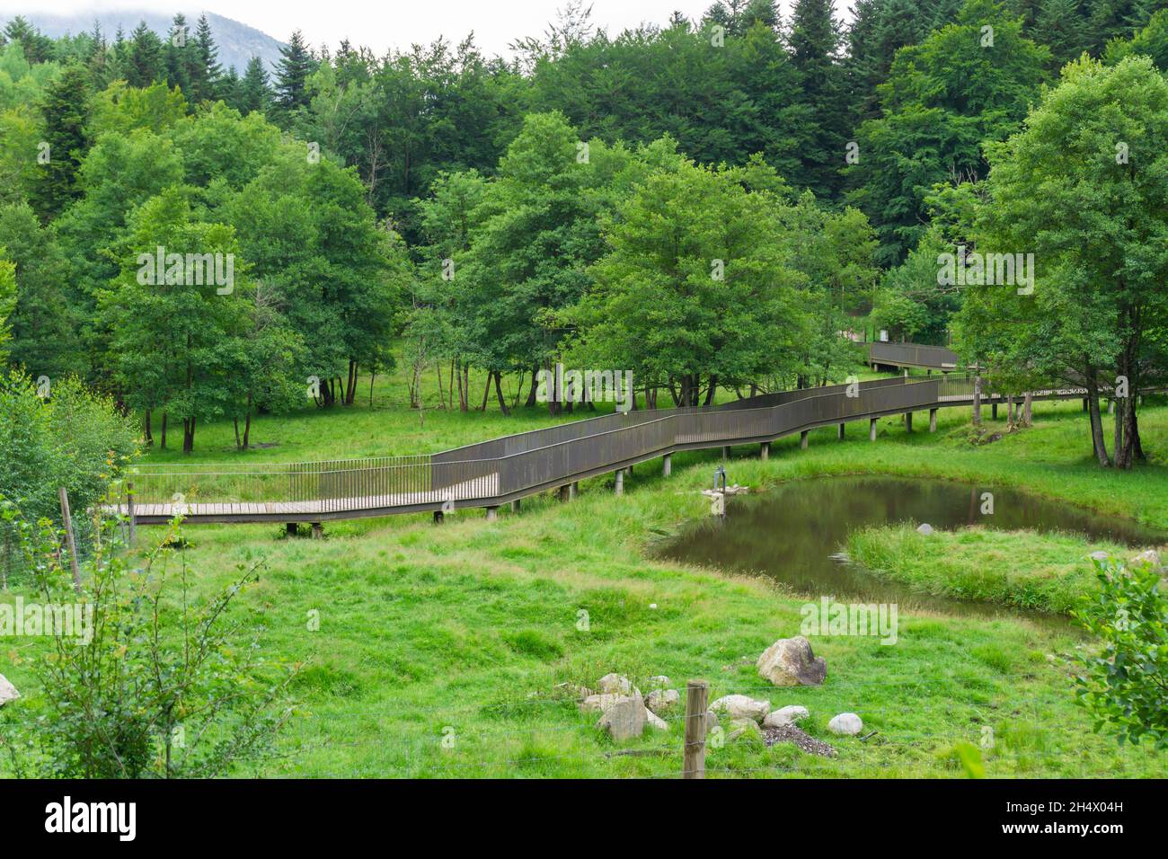 Passerella con ringhiera su un lago nel mezzo di una foresta verde Foto Stock