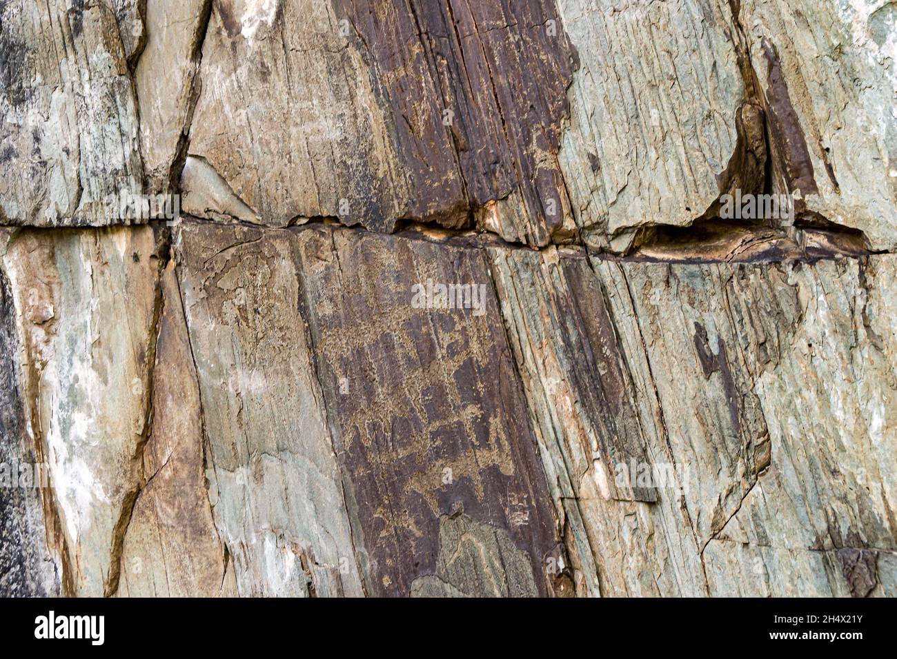 I petroglifi raccontano della cultura antica confermando la zootecnia dell'età del bronzo o del periodo scitiano, fuoco selettivo Foto Stock