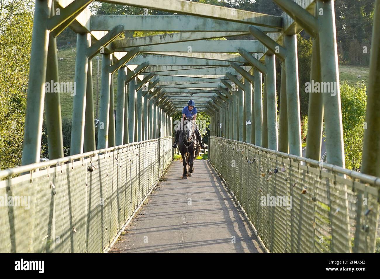 Cavallo e cavaliere che si avvicinano su una passerella sopra il fiume nella campagna del Regno Unito. Foto Stock
