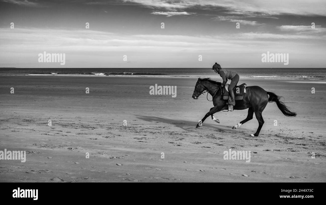 Cantering sulla spiaggia di Bambburgh, Northumberland, Regno Unito Foto Stock