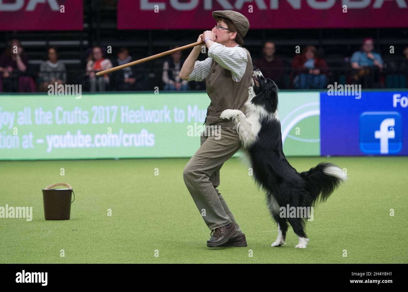 Concorso Heelwork to music il primo giorno della mostra di cani Crufts 2017 al NEC di Birmingham, Regno Unito. Data foto: Giovedì 09 marzo, 2017. Photo credit: Katja Ogrin/ EMPICS Entertainment. Foto Stock