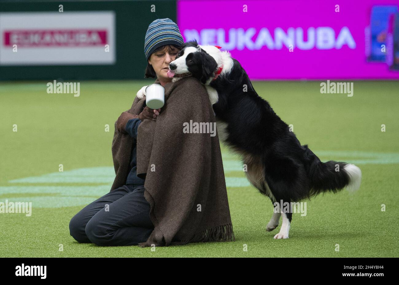 Concorso Heelwork to music il primo giorno della mostra di cani Crufts 2017 al NEC di Birmingham, Regno Unito. Data foto: Giovedì 09 marzo, 2017. Photo credit: Katja Ogrin/ EMPICS Entertainment. Foto Stock