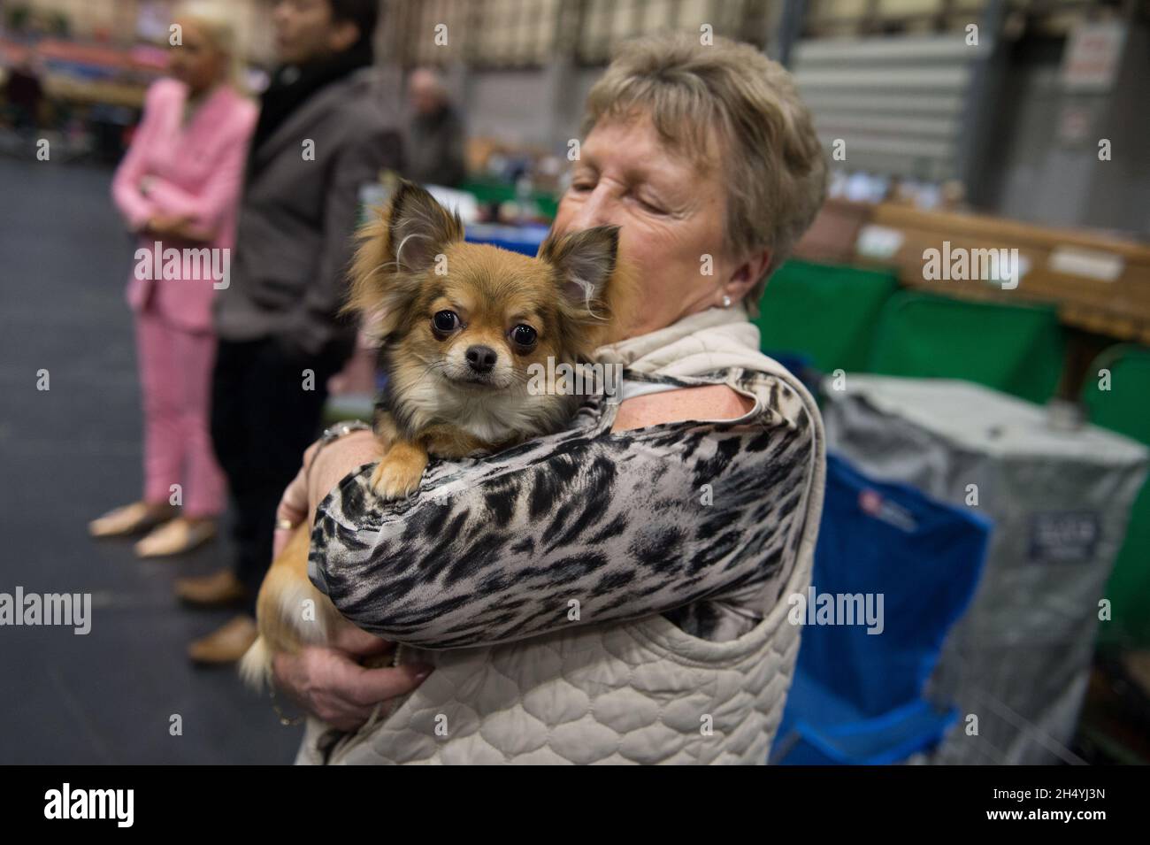 Giorno 1 di spettacolo di cani Crufts il 05 marzo 2020 al NEC di Birmingham, Regno Unito. Data foto: Giovedì 05 marzo 2020. Photo credit: Katja Ogrin/ EMPICS Entertainment. Foto Stock