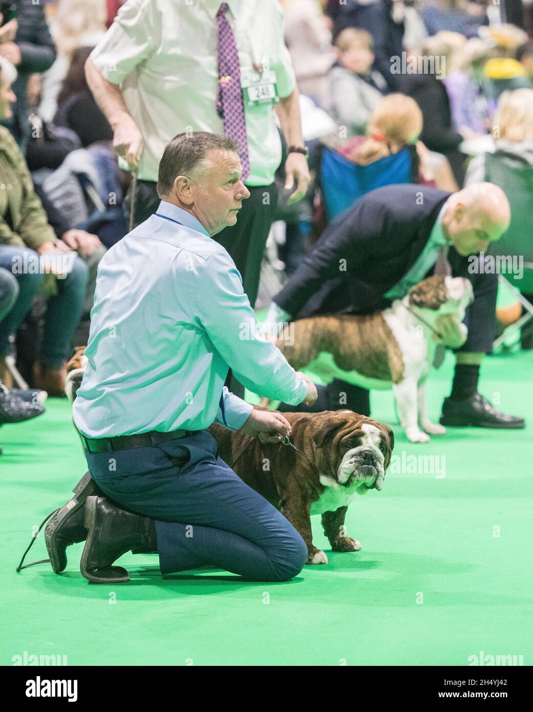 Giorno 1 di spettacolo di cani Crufts il 05 marzo 2020 al NEC di Birmingham, Regno Unito. Data foto: Giovedì 05 marzo 2020. Photo credit: Katja Ogrin/ EMPICS Entertainment. Foto Stock