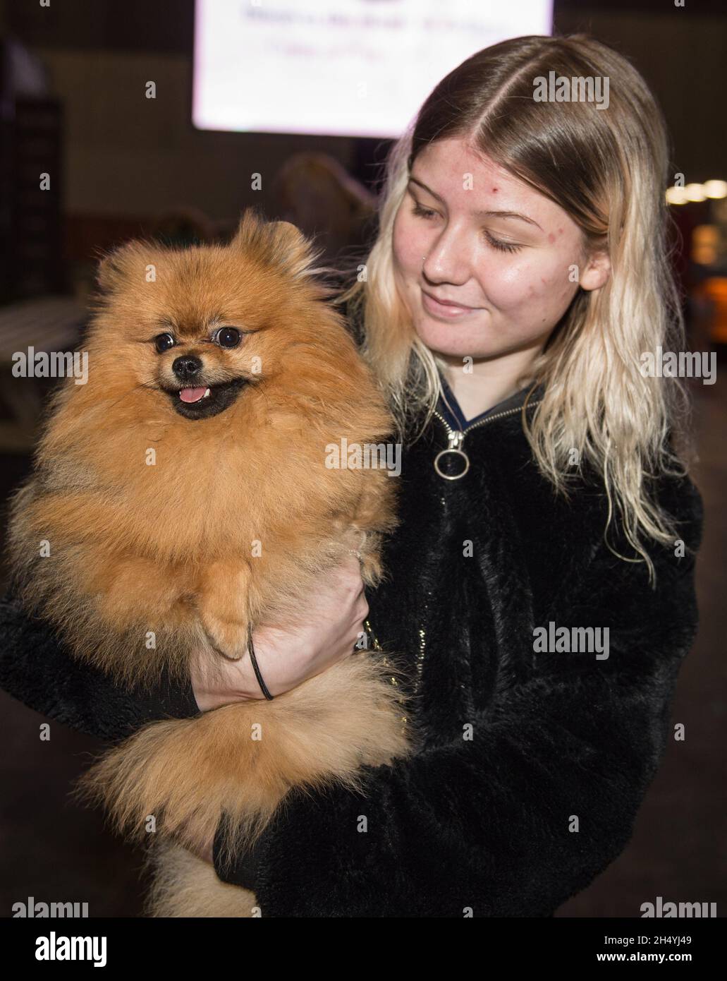 Giorno 1 di spettacolo di cani Crufts il 05 marzo 2020 al NEC di Birmingham, Regno Unito. Data foto: Giovedì 05 marzo 2020. Photo credit: Katja Ogrin/ EMPICS Entertainment. Foto Stock