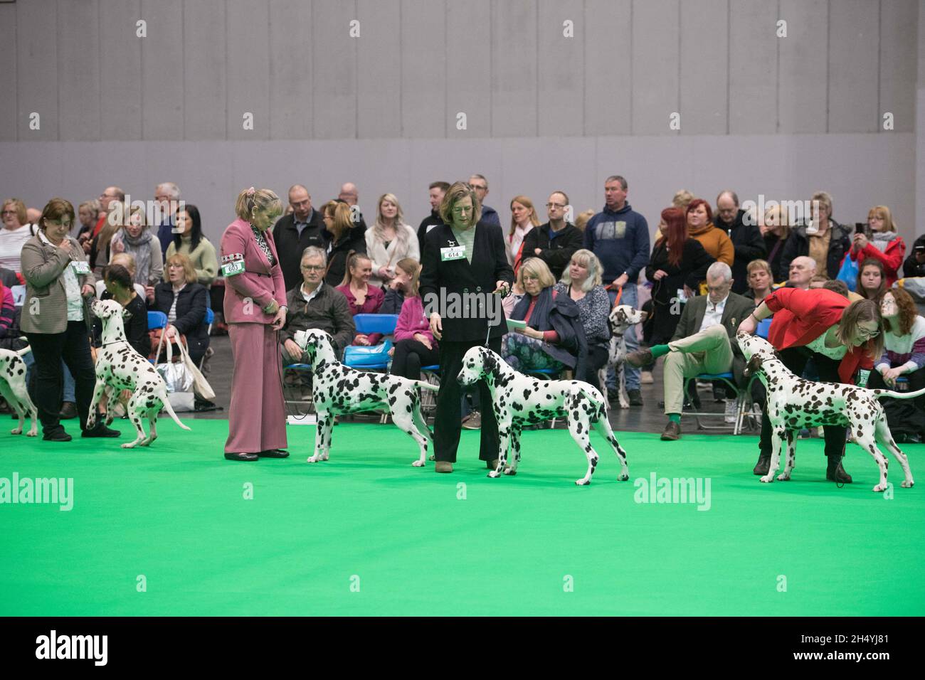 I proprietari di cani e i loro cani il giorno 1 della mostra di cani Crufts il 05 marzo 2020 al NEC di Birmingham, Regno Unito. Data foto: Giovedì 05 marzo 2020. Photo credit: Katja Ogrin/ EMPICS Entertainment. Foto Stock