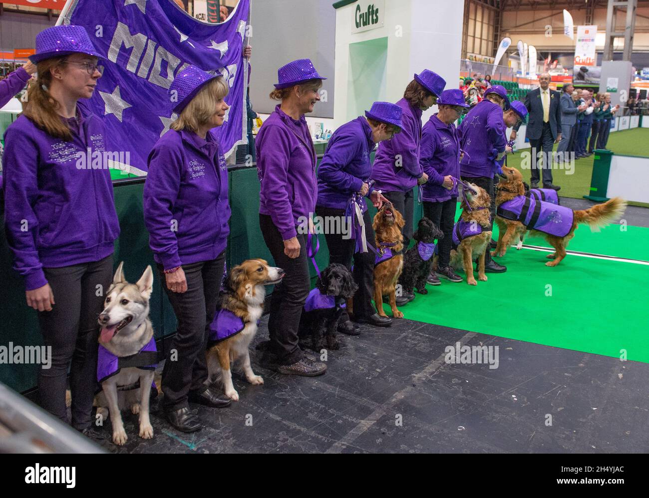 Giorno due della mostra di cani da crociera al National Exhibition Centre (NEC) il 06 marzo 2020 a Birmingham, Regno Unito. Data foto: Venerdì 06 marzo 2020. Photo credit: Katja Ogrin/EMPICS Entertainment. Foto Stock