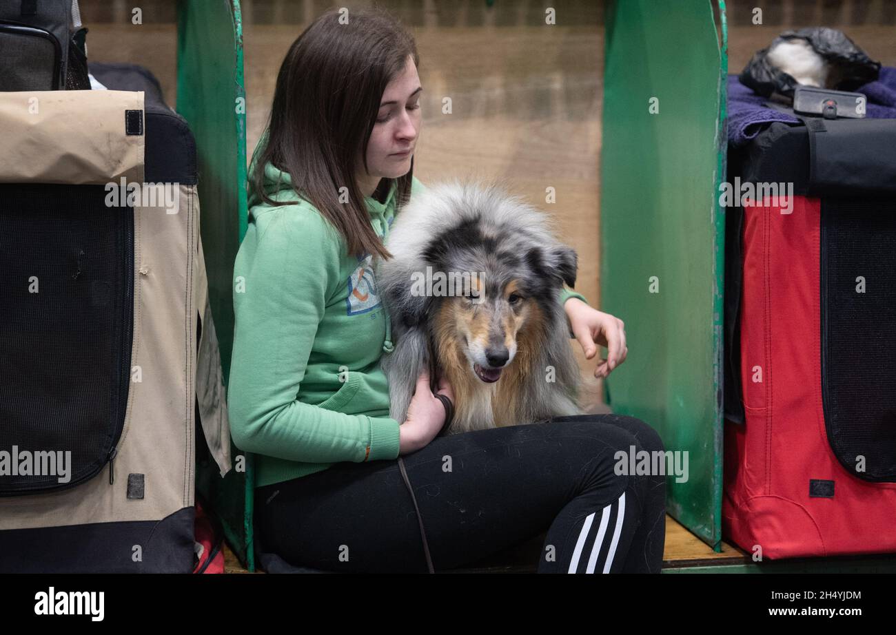 Terzo giorno della mostra di cani da crociera al National Exhibition Centre (NEC) il 07 marzo 2020 a Birmingham, Regno Unito. Data foto: Sabato 07 marzo 2020. Photo credit: Katja Ogrin/EMPICS Entertainment. Foto Stock