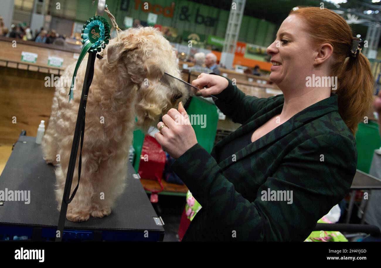 Giorno quattro della mostra di cani da crociera al National Exhibition Centre (NEC) il 08 marzo 2020 a Birmingham, Regno Unito. Data foto: Domenica 08 marzo 2020. Photo credit: Katja Ogrin/EMPICS Entertainment. Foto Stock