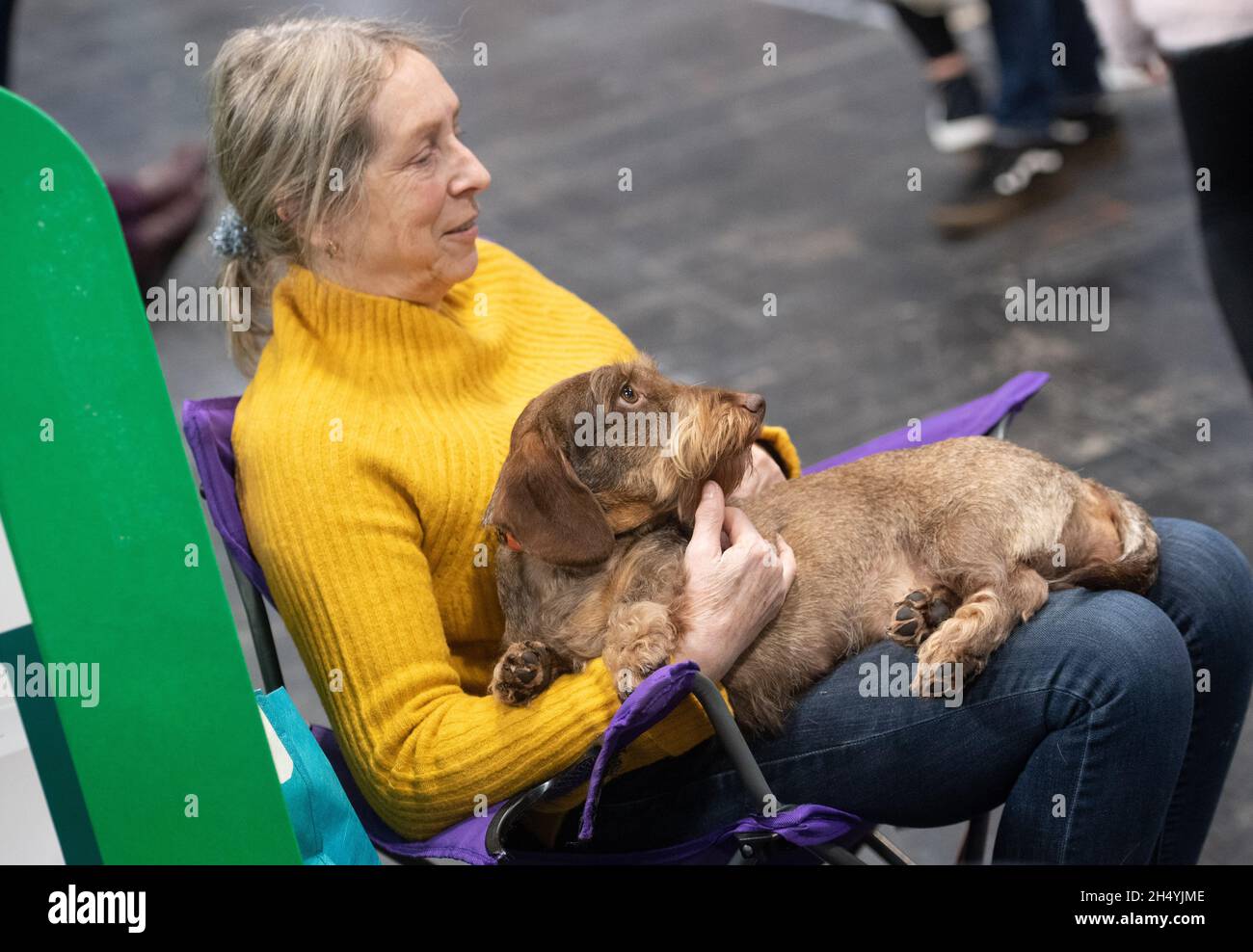 Giorno quattro della mostra di cani da crociera al National Exhibition Centre (NEC) il 08 marzo 2020 a Birmingham, Regno Unito. Data foto: Domenica 08 marzo 2020. Photo credit: Katja Ogrin/EMPICS Entertainment. Foto Stock