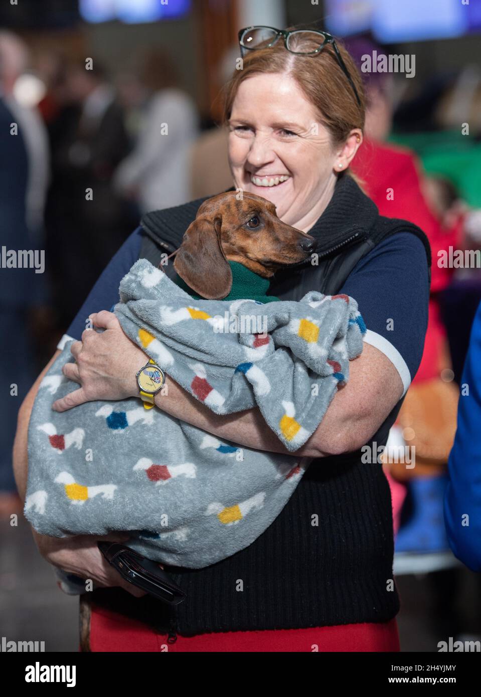 Giorno quattro della mostra di cani da crociera al National Exhibition Centre (NEC) il 08 marzo 2020 a Birmingham, Regno Unito. Data foto: Domenica 08 marzo 2020. Photo credit: Katja Ogrin/EMPICS Entertainment. Foto Stock