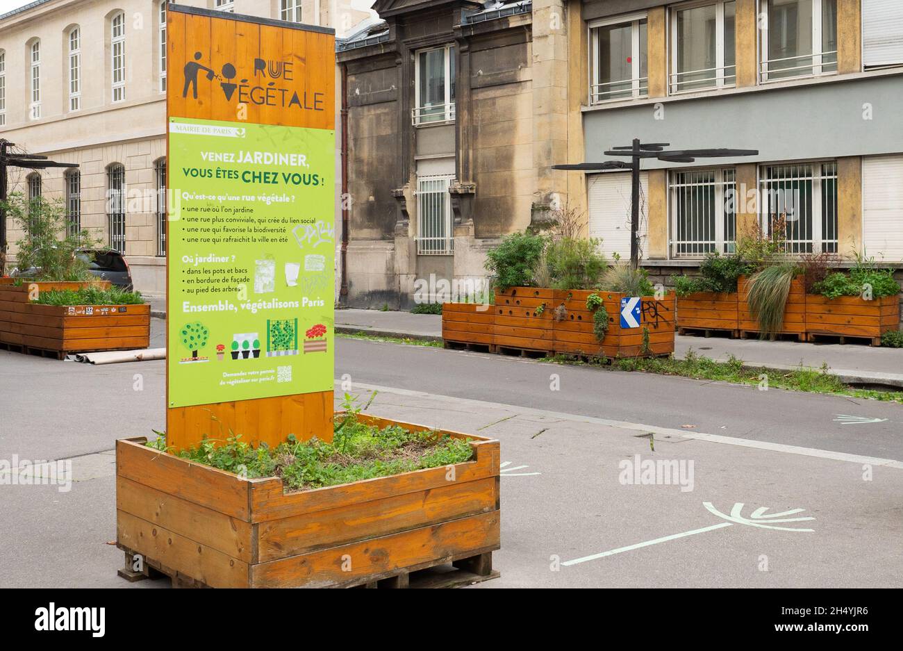 Parigi, Francia - 2 novembre 2019: Rue de Citeaux piantato con vasi di fiori. Foto Stock