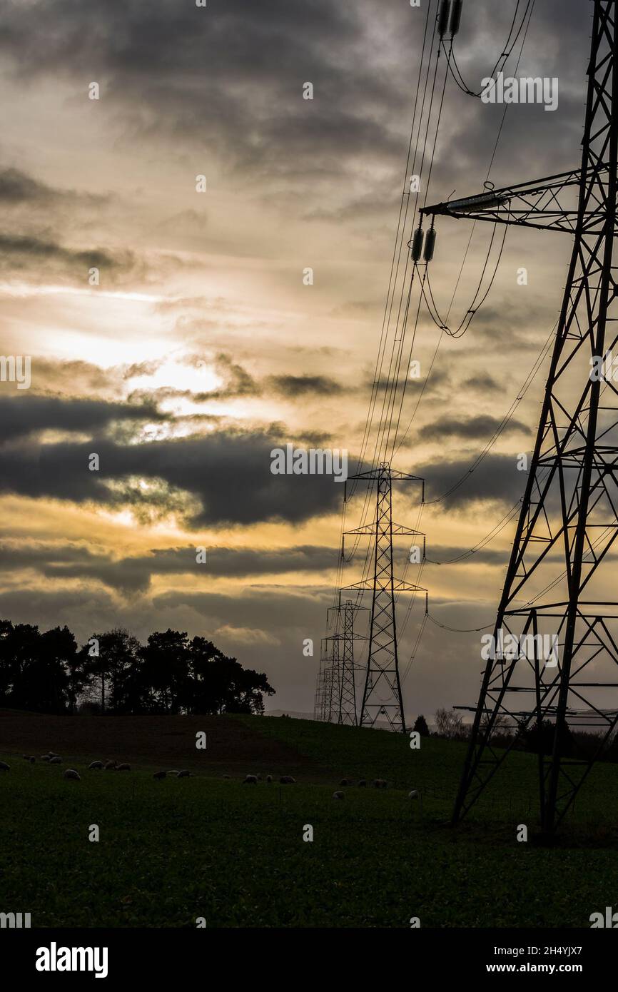 Linee elettriche aeree ad alta tensione e tralicci che trasportano energia elettrica attraverso la campagna britannica ambientando il cielo del tramonto invernale. Foto Stock