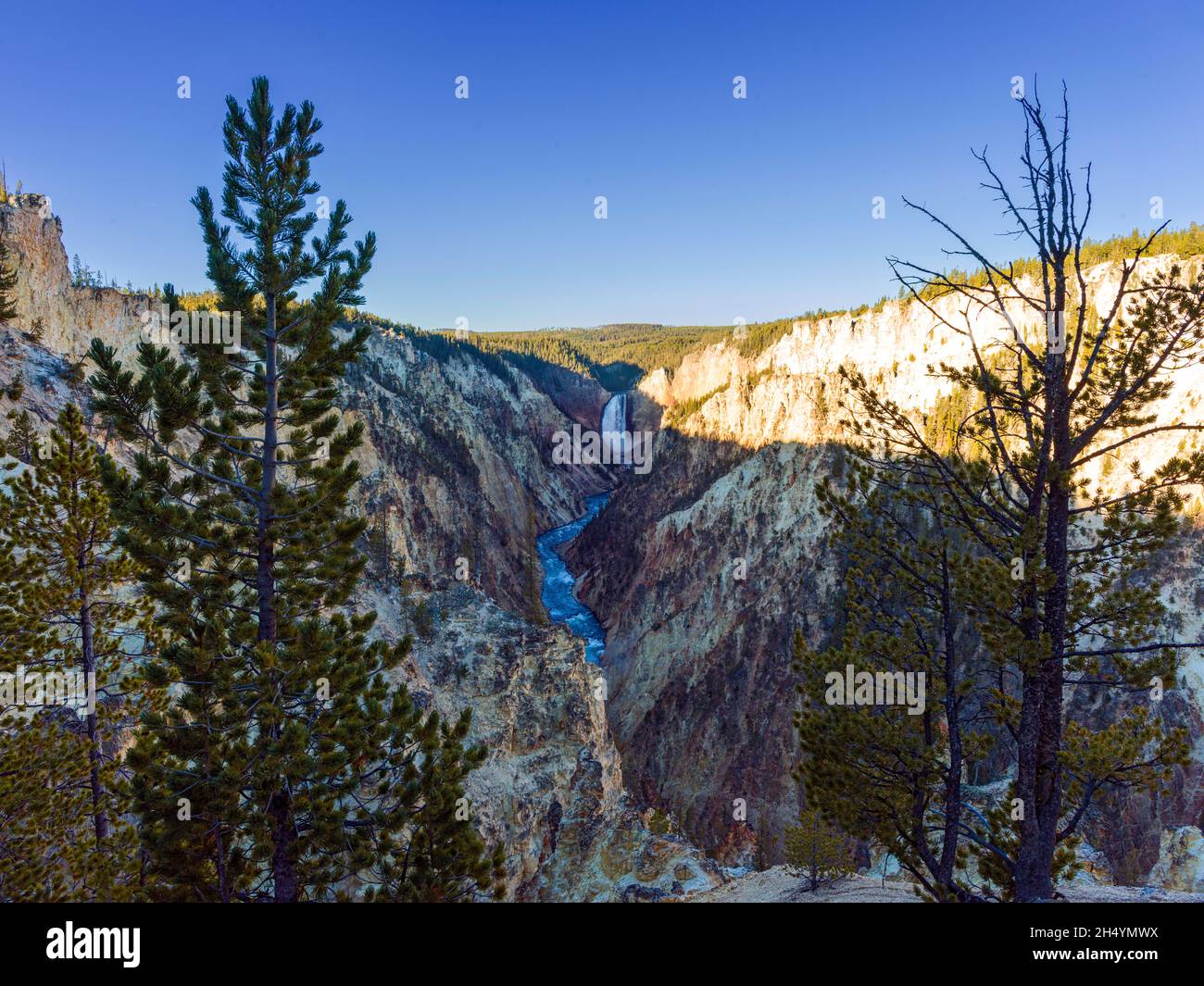 Grand Canyon del parco nazionale di Yellowstone Yellowstone Wyoming, America del Nord, USA Foto Stock