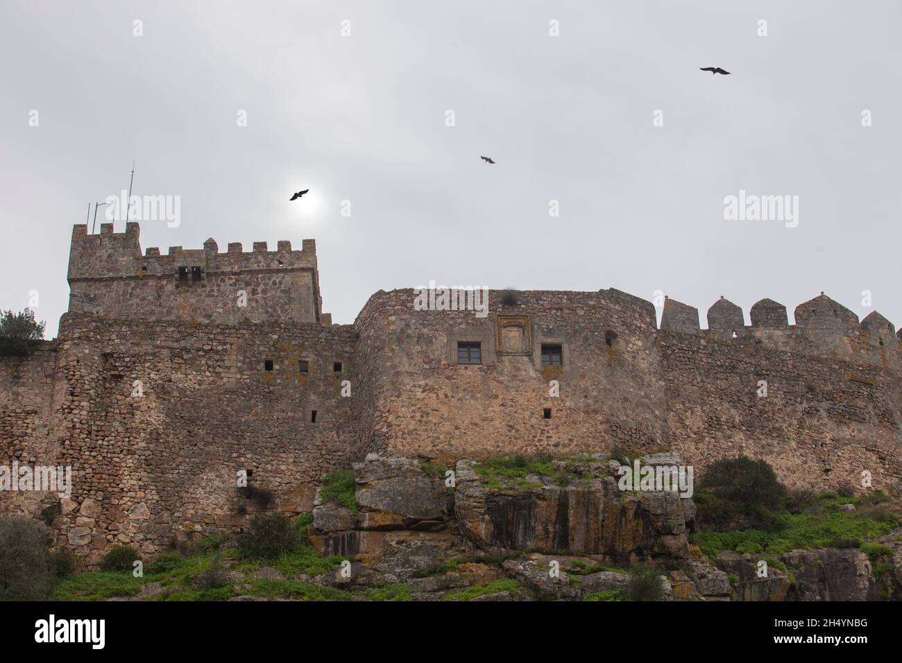 Gli avvoltoi Griffon volano sul Luna Castle nella stagione invernale. Alburquerque, Estremadura, Spagna Foto Stock