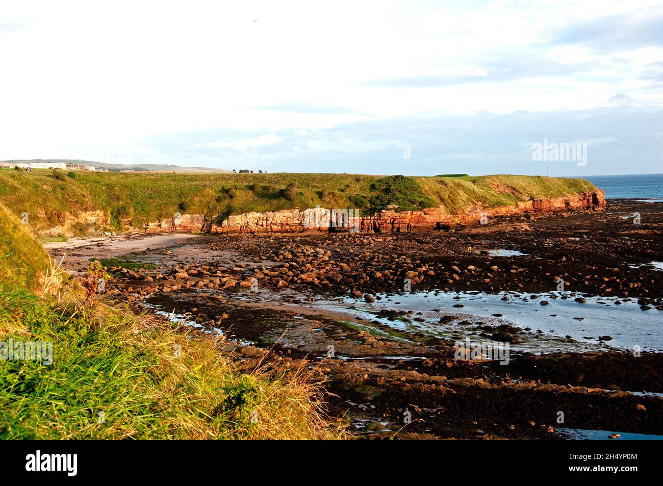 Il sole del mattino presto diffonde un caldo bagliore sulle scogliere di arenaria ricoperte di erba e sulle piscine rocciose di una baia riparata nella costa del Northumberland Foto Stock