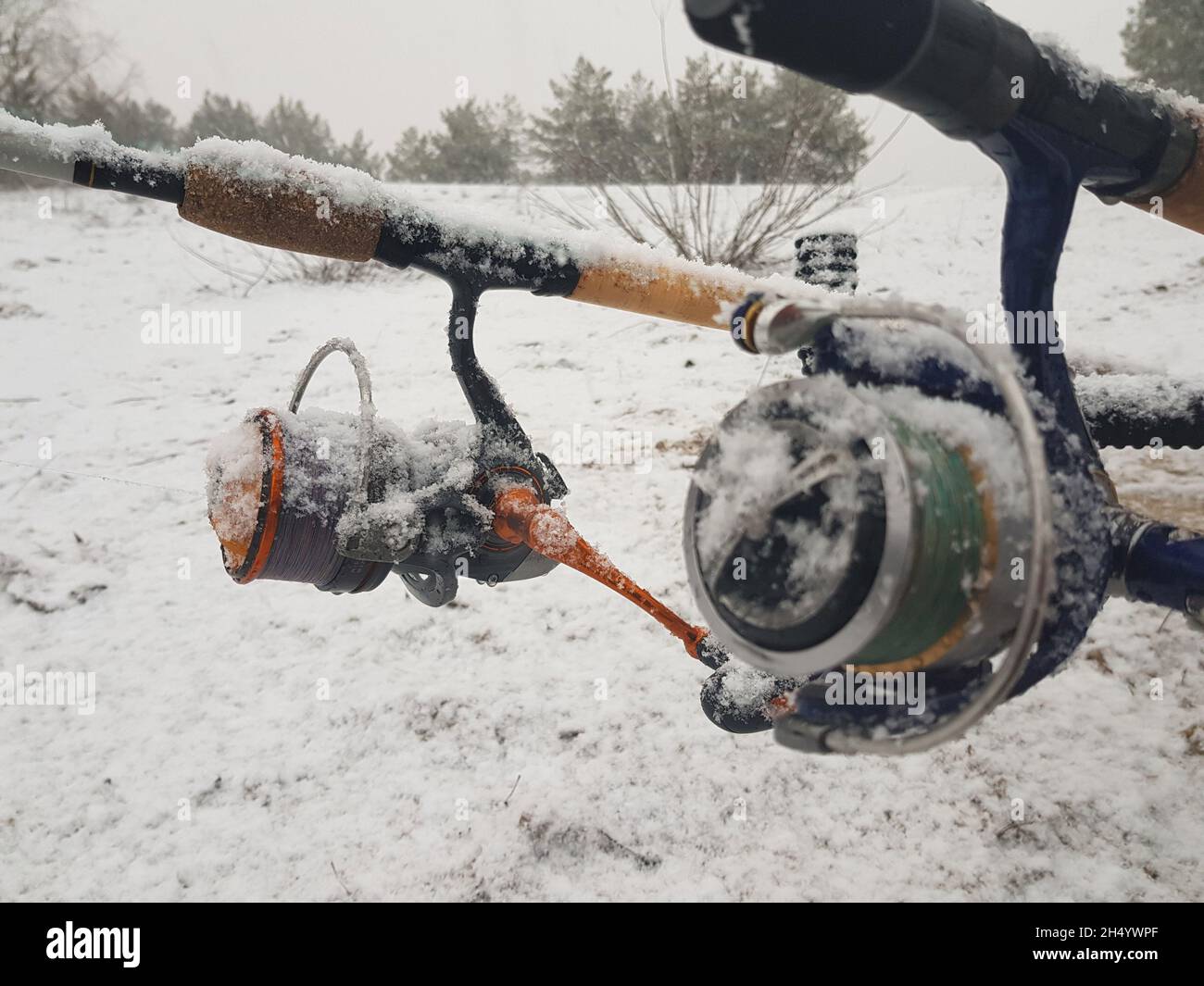 Pesca sul feeder, nel fiume. Primo piano canna da pesca e mulinello. L'attrezzatura da pesca era coperta di neve. Foto Stock