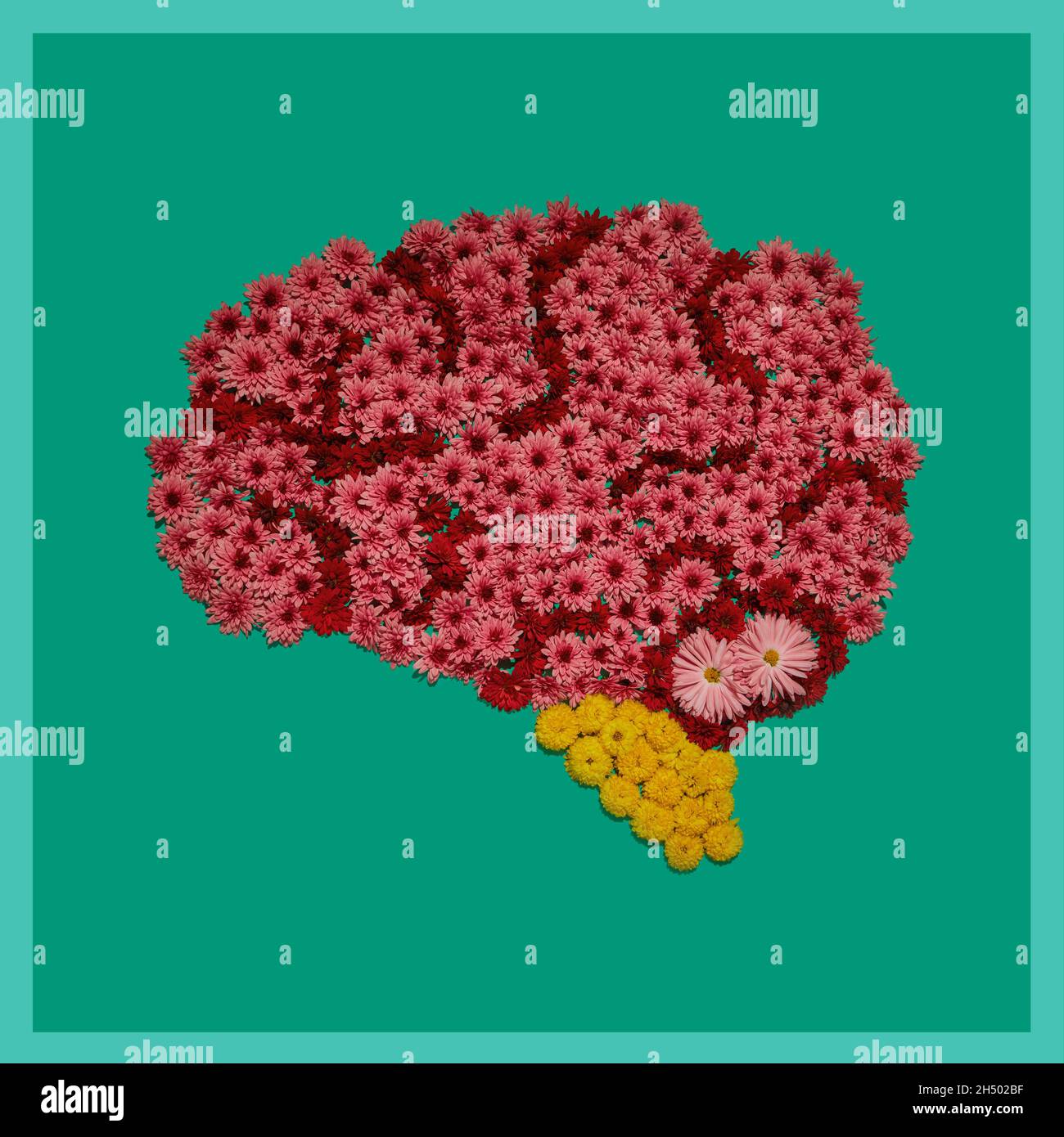 Modello anatomico del cervello umano, installazione di fiori su sfondo verde. Parte delle immagini dell'insieme degli organi umani interni Foto Stock