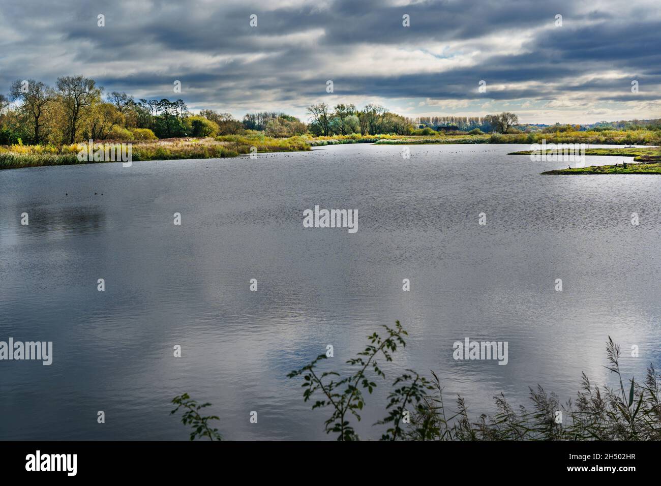 Grande laguna con alberi e canne vicino al lungomare di Ripon Wetlands fino a poco tempo fa era una cava attiva, Ripon, North Yorkshire, Regno Unito. Foto Stock