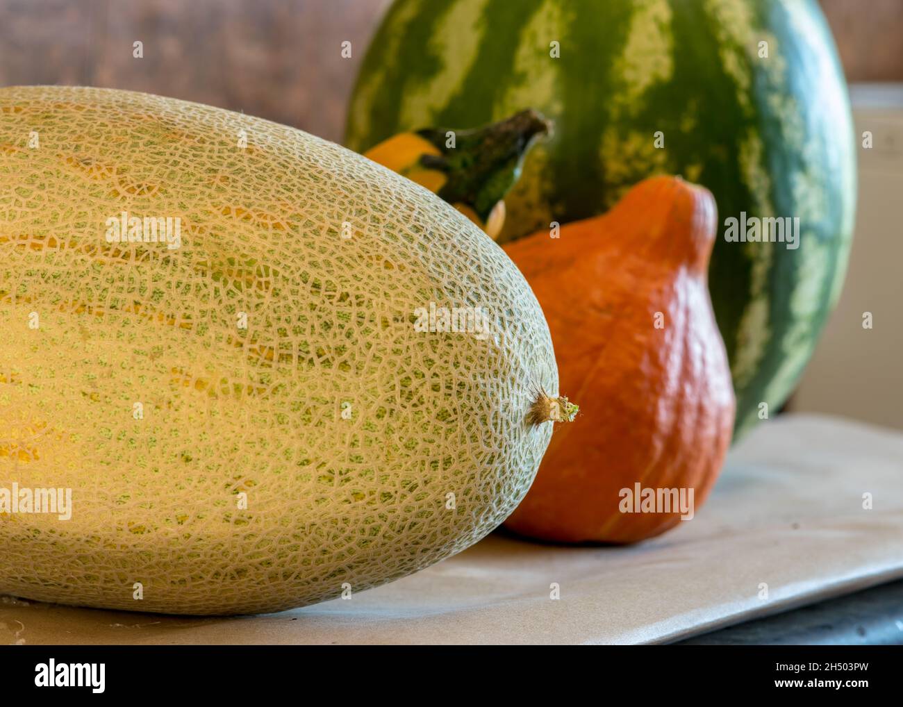 foto con zucca, zucchine, anguria e melone, tempo di raccolta autunno, adatto per piatti vegetariani, verdure per una dieta sana Foto Stock