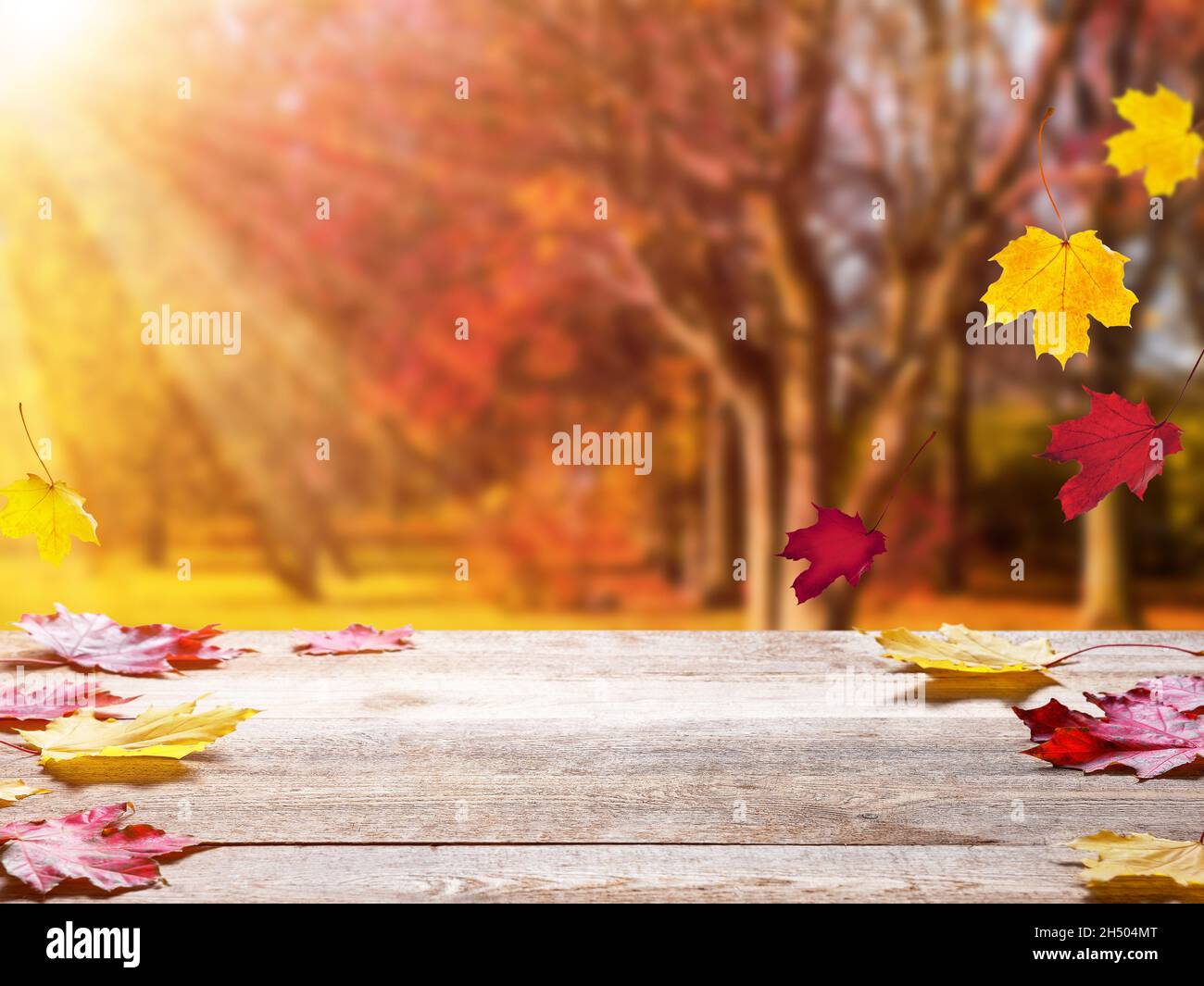 Piano in legno su sfondo autunno sfocato. Autunno oro sfondo astratto con bokeh chiaro e foglie colorate. Foto Stock