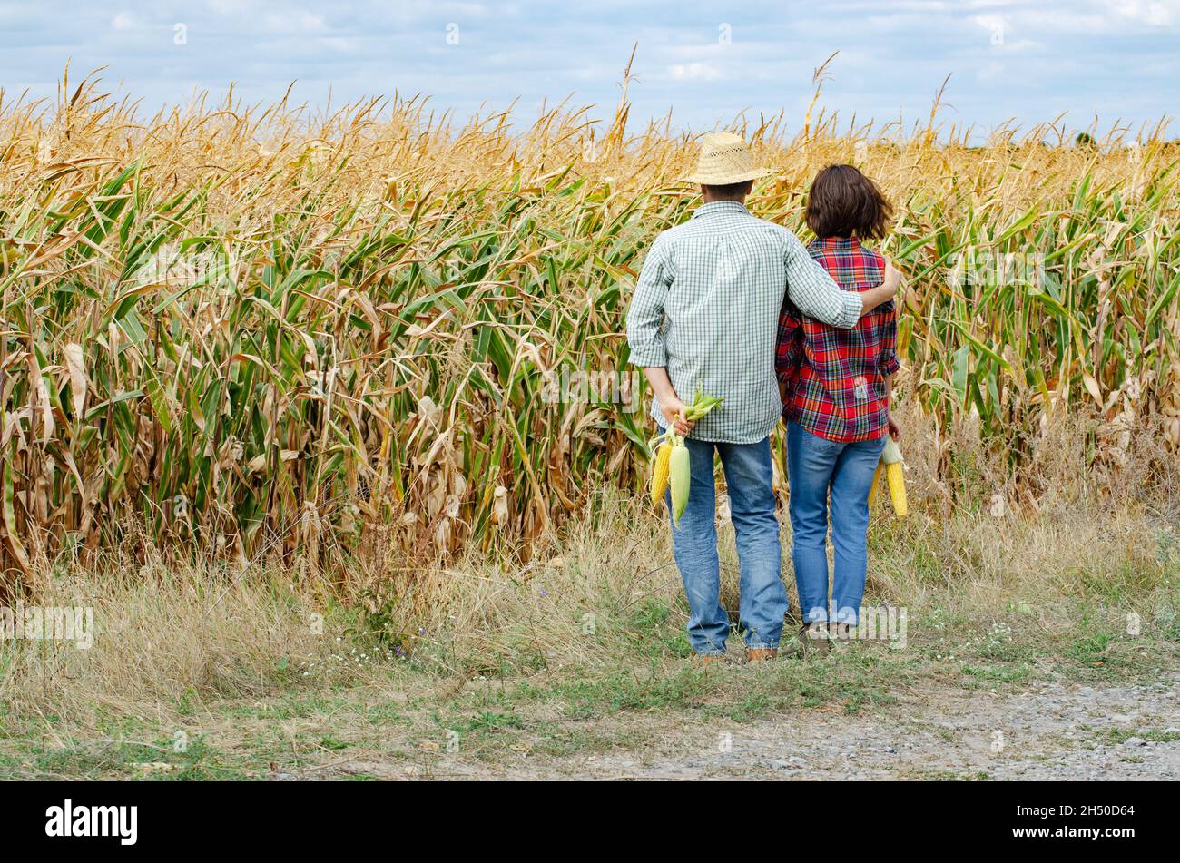 Famiglia contadina caucasica di mezza età di due con pannocchie di mais nelle loro mani guardando il campo di mais Foto Stock