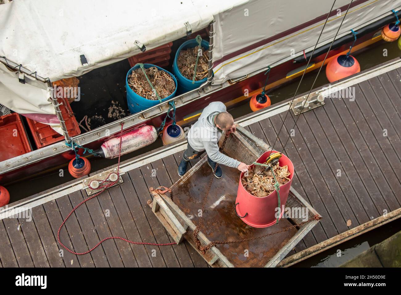(211105) -- PARIGI, 5 novembre 2021 (Xinhua) -- Un pescatore scarica il peschereccio al mattino presto a Boulogne-sur-Mer, Hauts-de-France, una città costiera della Francia settentrionale, 5 novembre 2021. Il Ministro britannico per la Brexit David Frost e il Segretario di Stato francese per gli Affari europei Clement Beaune hanno tenuto colloqui a Parigi giovedì per cercare di allentare le tensioni su una fila di pescatori tra i due paesi. Tuttavia, Beaune ha detto in seguito che resta ancora molto lavoro da fare, dato che permangono differenze significative. PER ANDARE CON 'Parigi, Londra tenere colloqui per allentare le tensioni sulla disputa di pesca' (Foto di Sebasti Foto Stock