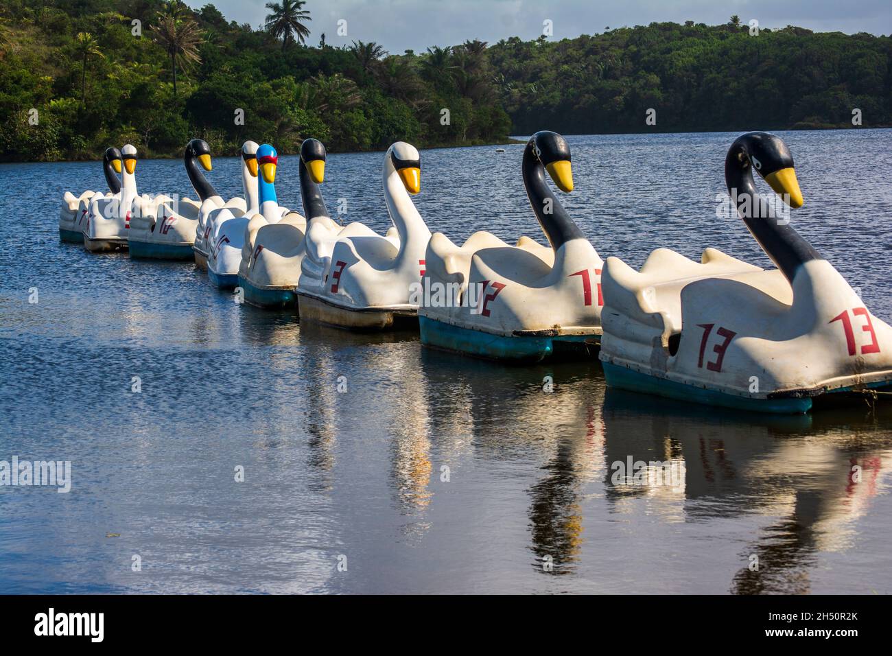 Salvador, Bahia, Brasile - 17 agosto 2014: Barca a forma di oca nel Parco Pituacu. Foto Stock
