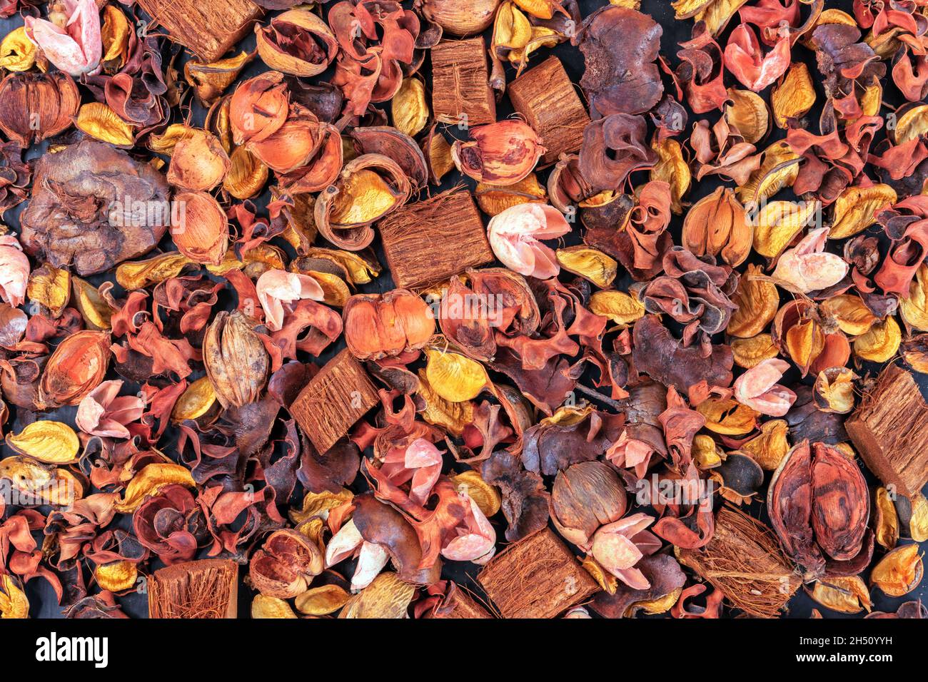 Sfondo con fiori esotici secchi. Fiori secchi aromatizzati. Foto Stock