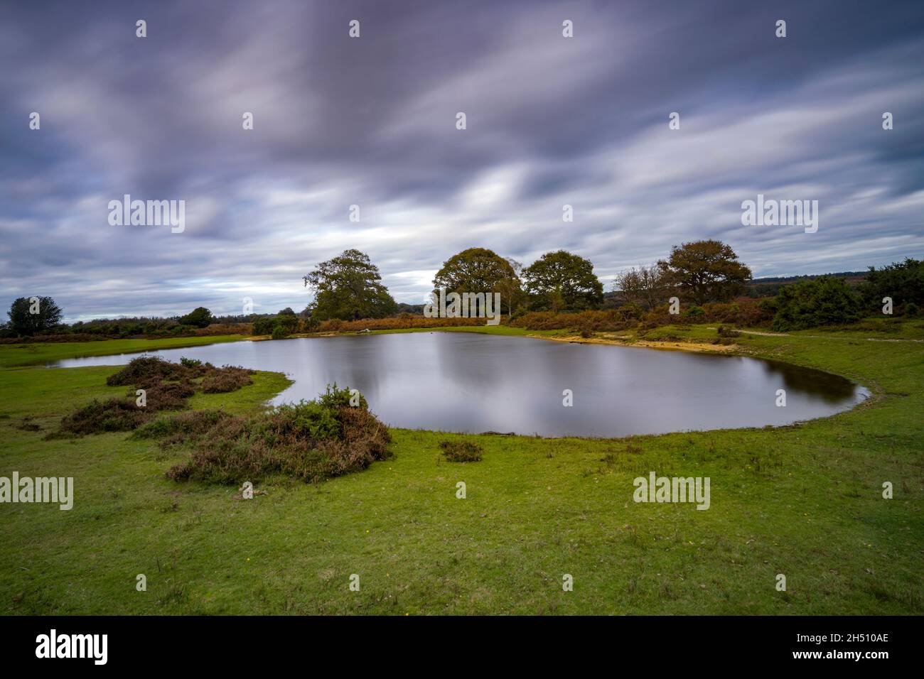 Mogshade Hill stagno nel New Forest National Park, Hampshire, Inghilterra, Regno Unito Foto Stock