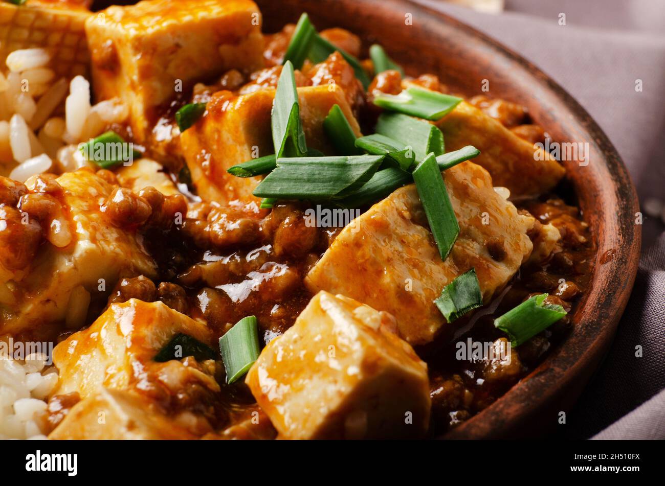 Autentica cucina tradizionale cinese mapo tofu piatto con erba cipollina e riso al vapore closeup Foto Stock