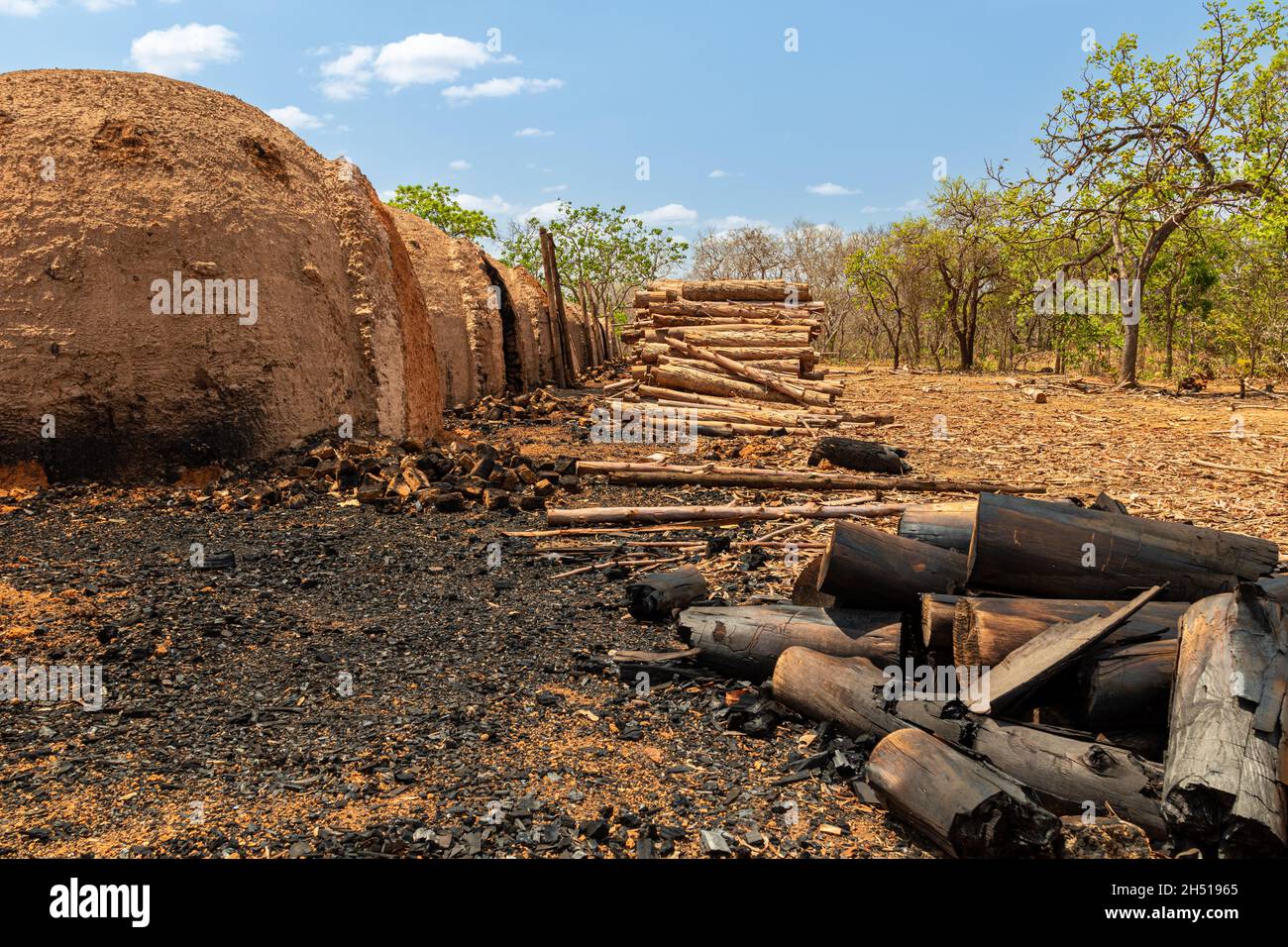 Impianto di carbone nella campagna brasiliana di Minas Gerais Foto Stock