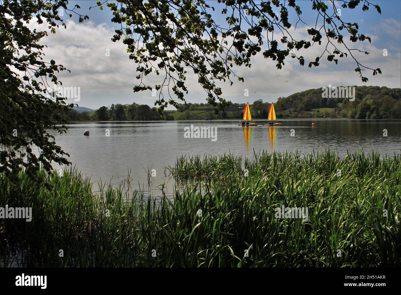 Carlingwark Loch - Scozia Foto Stock