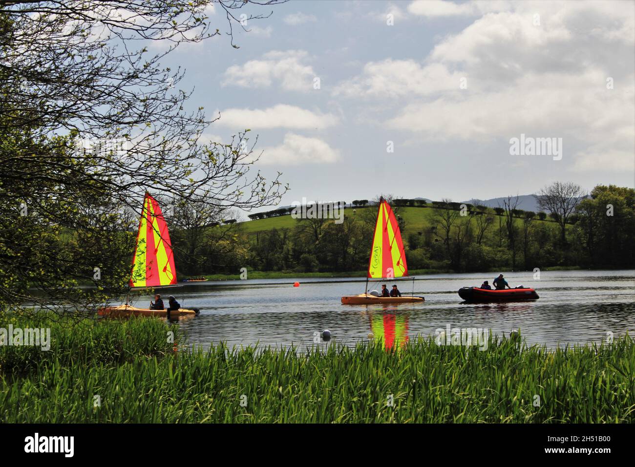 Carlingwark Loch - Scozia Foto Stock
