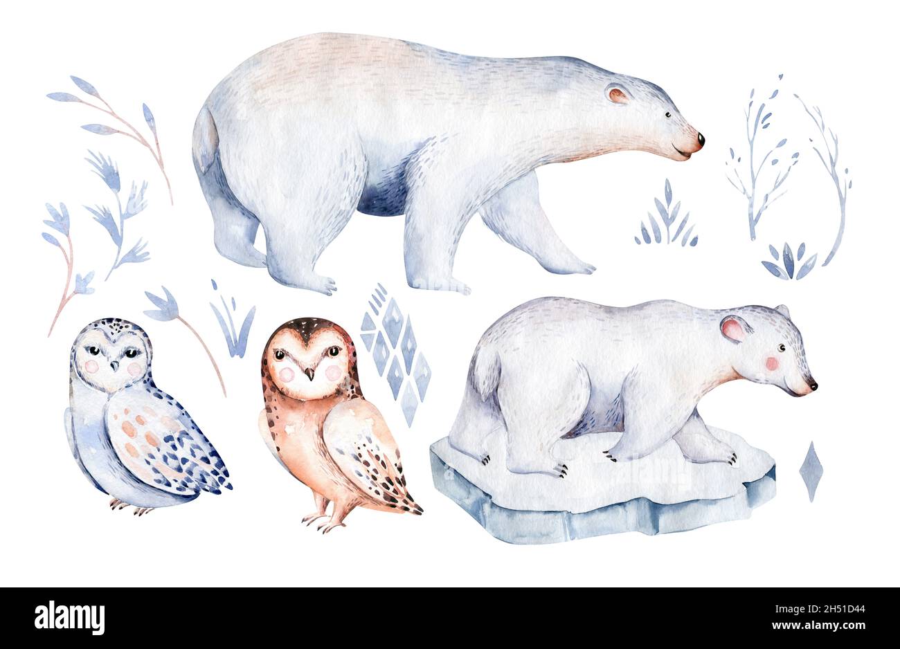 animali polari acquerelli collezioni. gufo nevoso. renna. orso polare. fox. pinguino. waltrus seal lepre balena Foto Stock