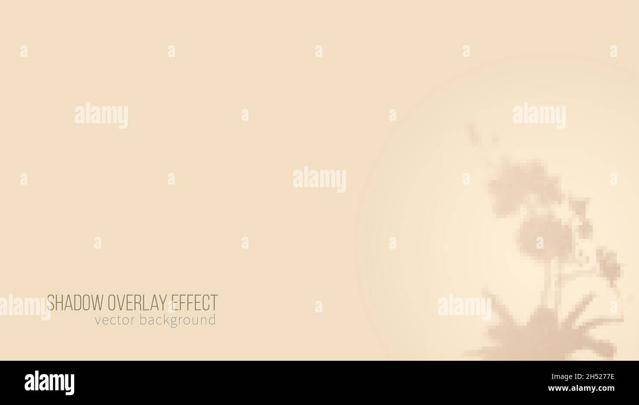 Sfondo beige minimalista per la presentazione del prodotto. Ombra di pianta sul muro. Modello per presentazione o poster. Illustrazione Vettoriale