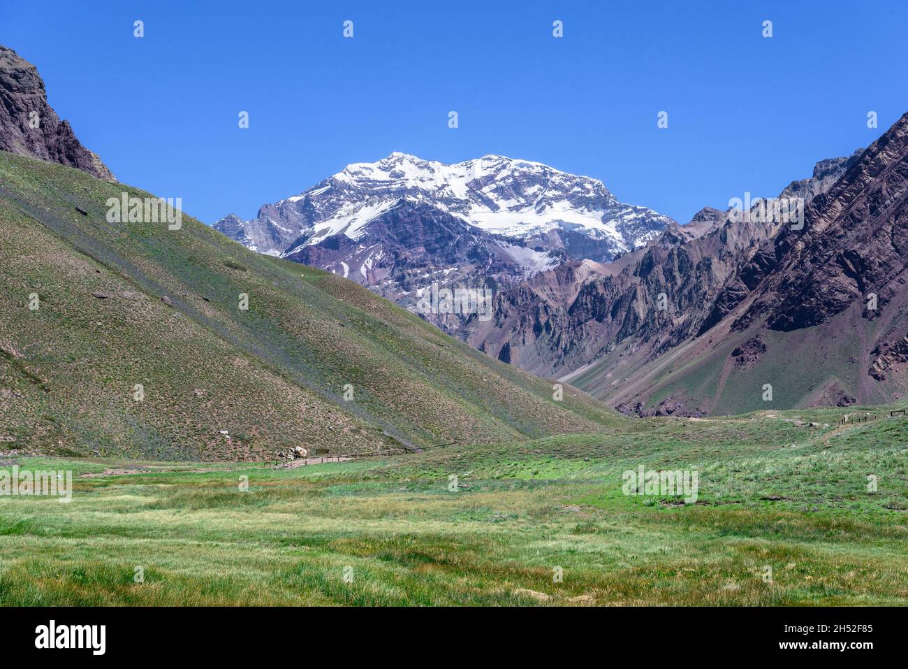 Monte innevato Aconcagua in estate, Mendoza, Argentina Foto Stock