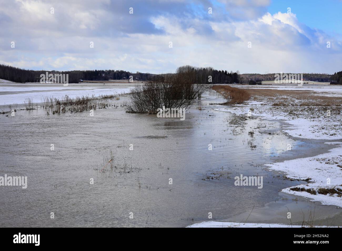 Alluvione primaverile del fiume Muurlanjoki su campi adiacenti a Tuohittu, Salo, sud-ovest della Finlandia. Marzo 14, 2020 Foto Stock