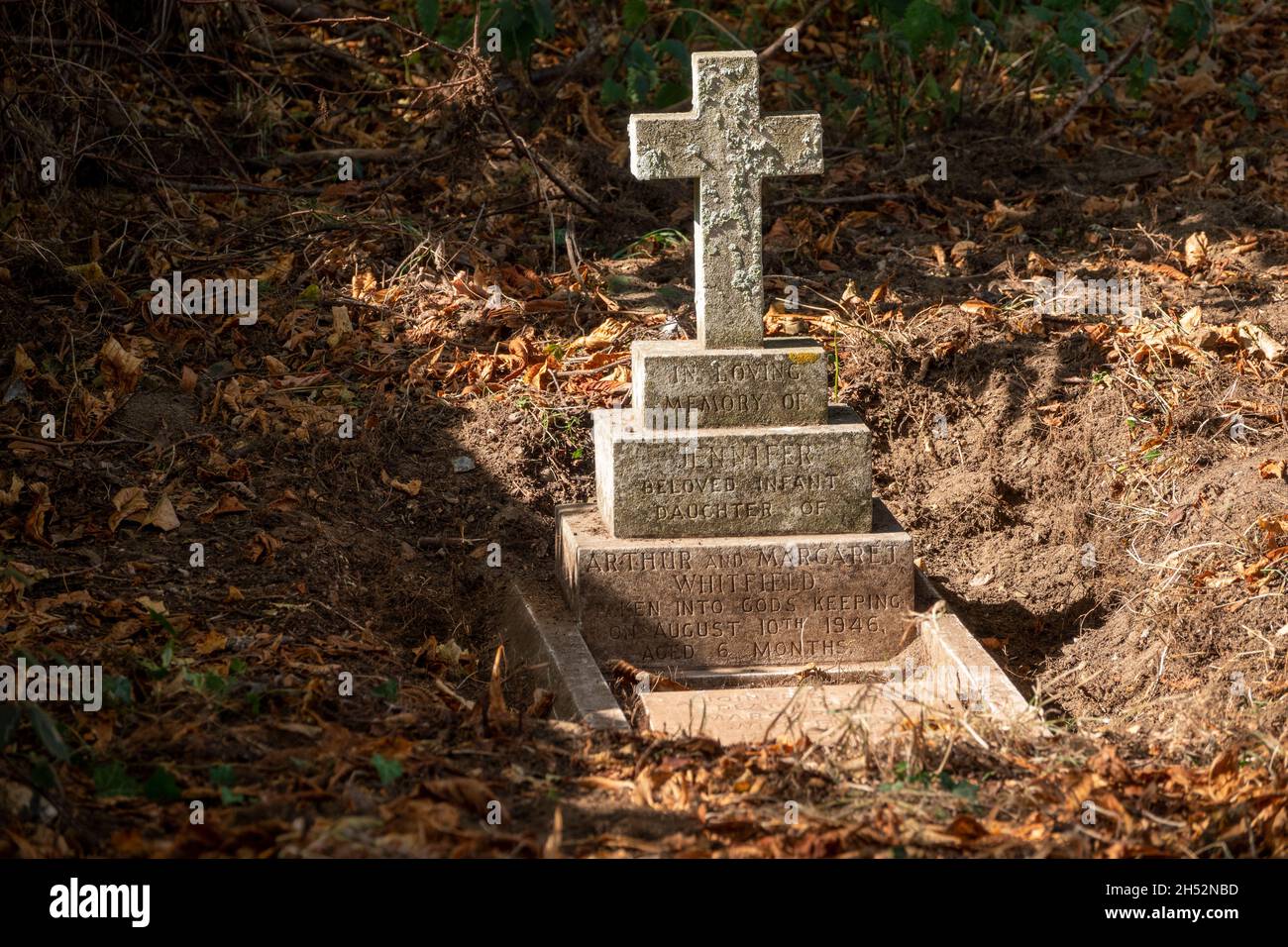 Una semplice croce su una base a piedistallo a tre strati che mostra la recente pulizia di terra e inscritto per la famiglia di Whitfield a St Andrew's Marlesford Foto Stock