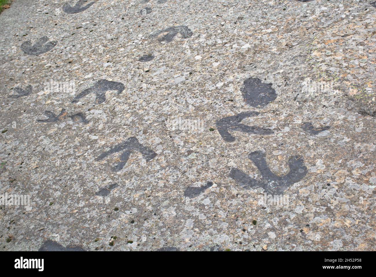 Icniti di dinosauri di due famiglie, iguanodon e teropodo. Regumiel de la Sierra deposito, Burgos, Spagna. Foto Stock